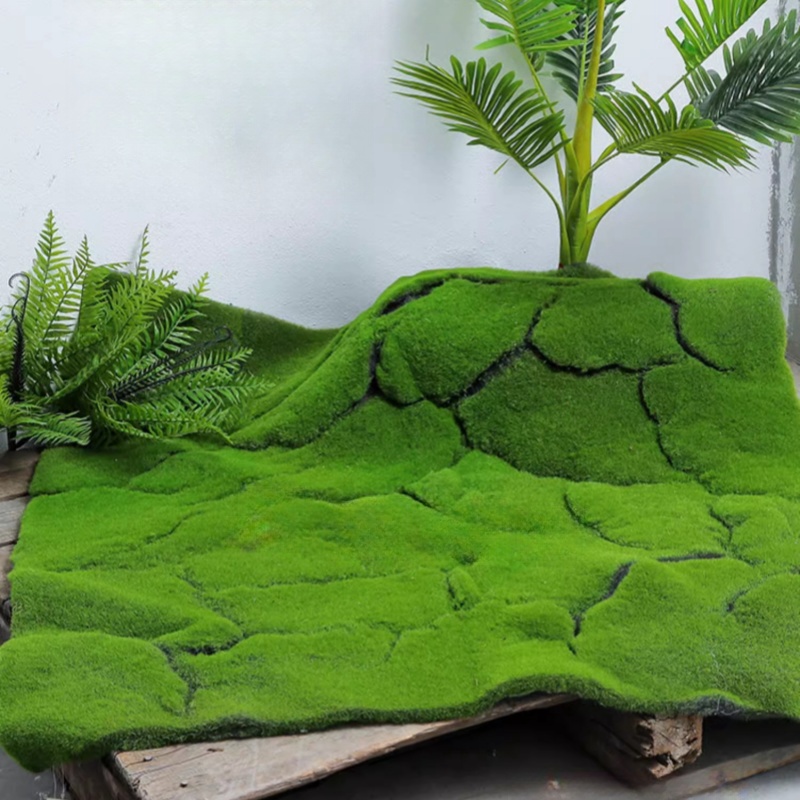 العشب الاصطناعي موس محاكاة الم - مراجعة Terrarium Moss Art وسعره