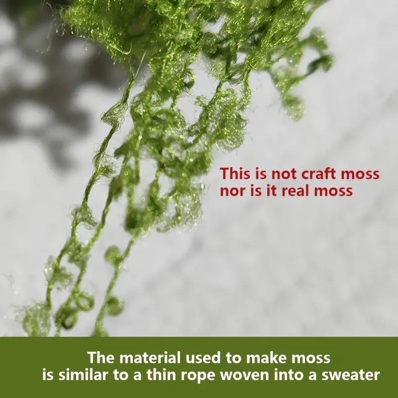 حوالي 20 جرام نباتات خضراء اصط - مراجعة Terrarium Moss Art وسعره