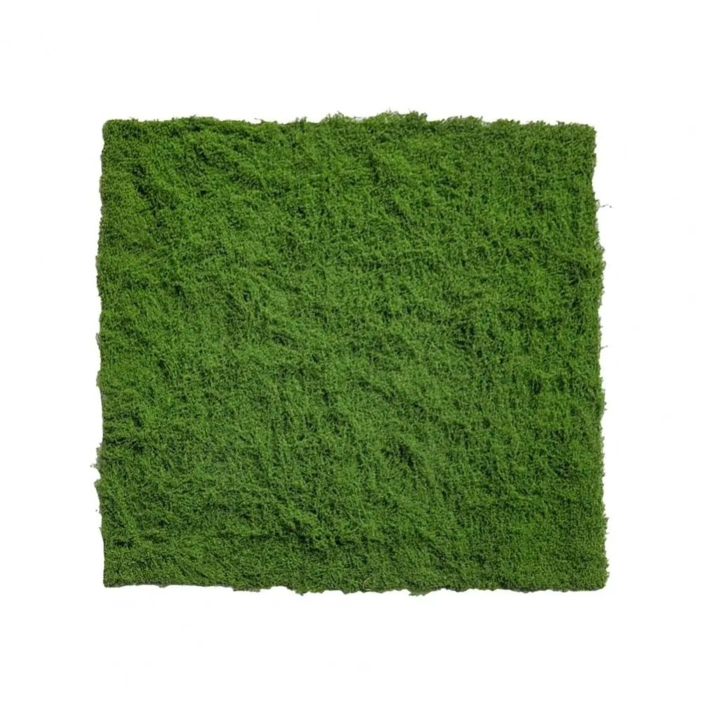سجادة عشب صناعي للتركيب الذاتي - مراجعة Terrarium Moss Art وسعره