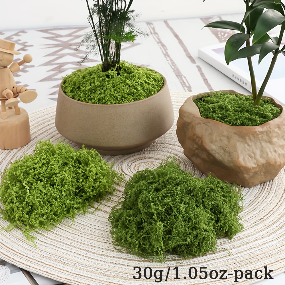 1 حزمة الطحلب الاصطناعي وهمية  - مراجعة Terrarium Moss Art وسعره