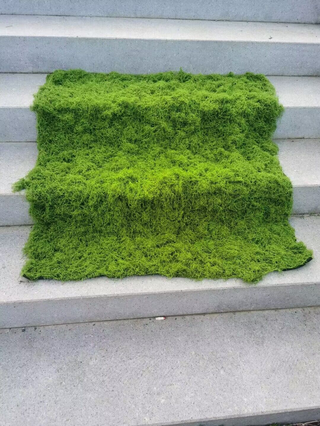 Aqumotic العشب الاصطناعي محاكا - مراجعة Terrarium Moss Art وسعره