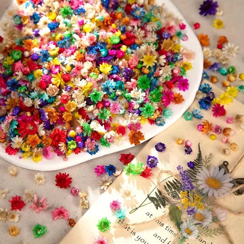 زهرة ملونة مختلطة لقولبة الشمع - مراجعة Resin Craft Ideas وسعره