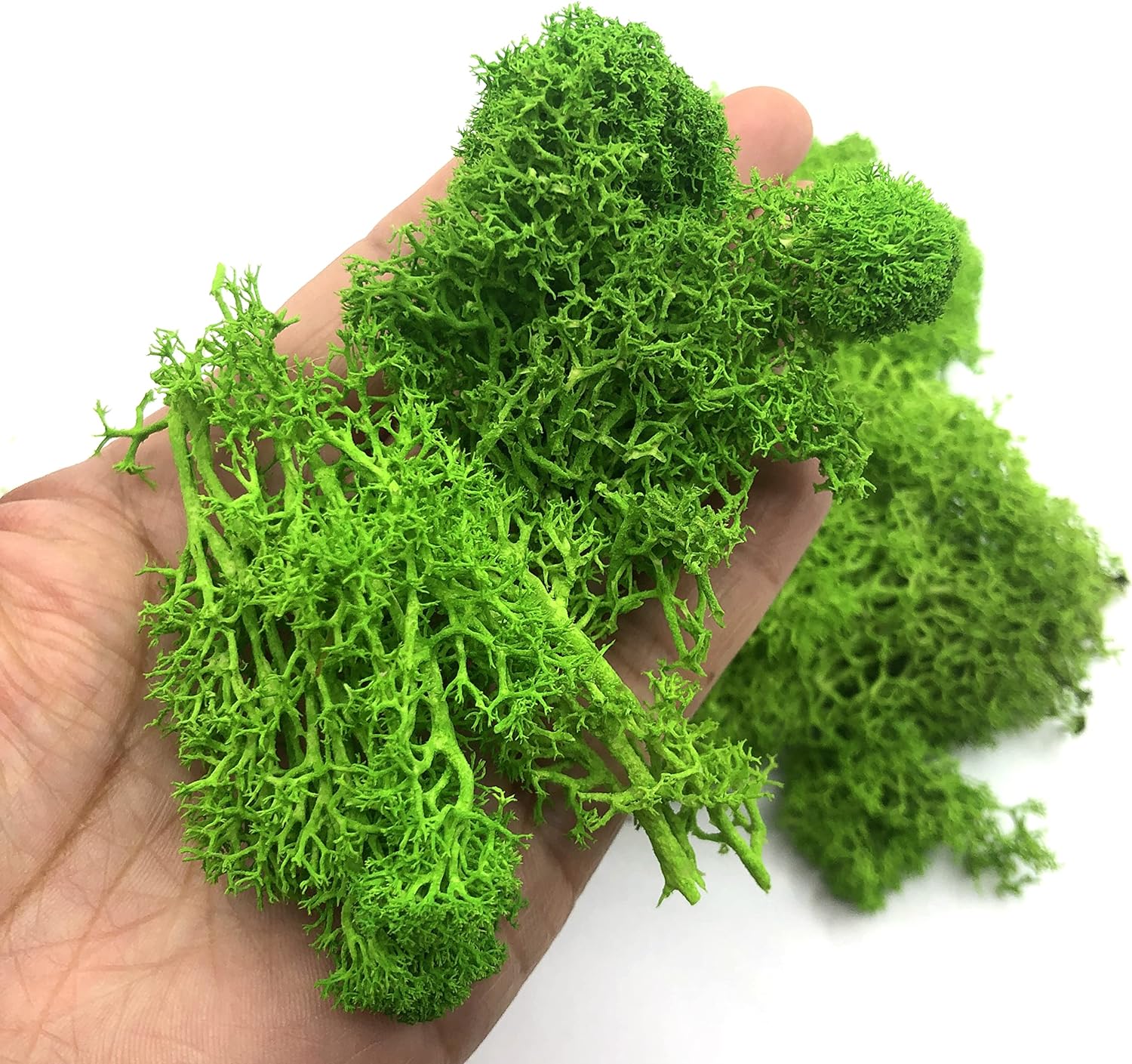 200 جرام نباتات خضراء اصطناعية - مراجعة Terrarium Moss Art وسعره