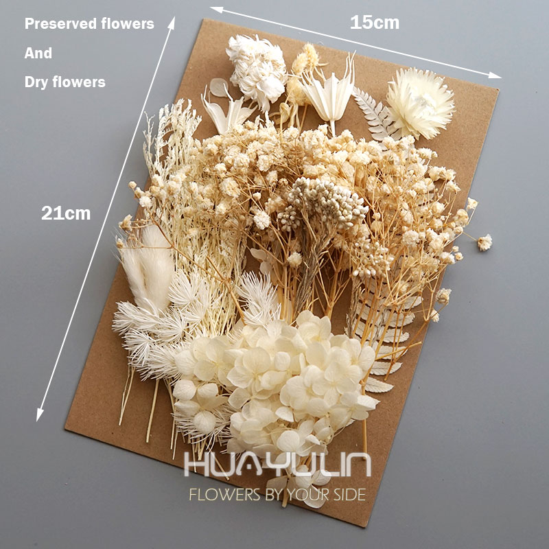 1 حزمة النباتات الاصطناعية الم - مراجعة Flower Preservation Resin وسعره