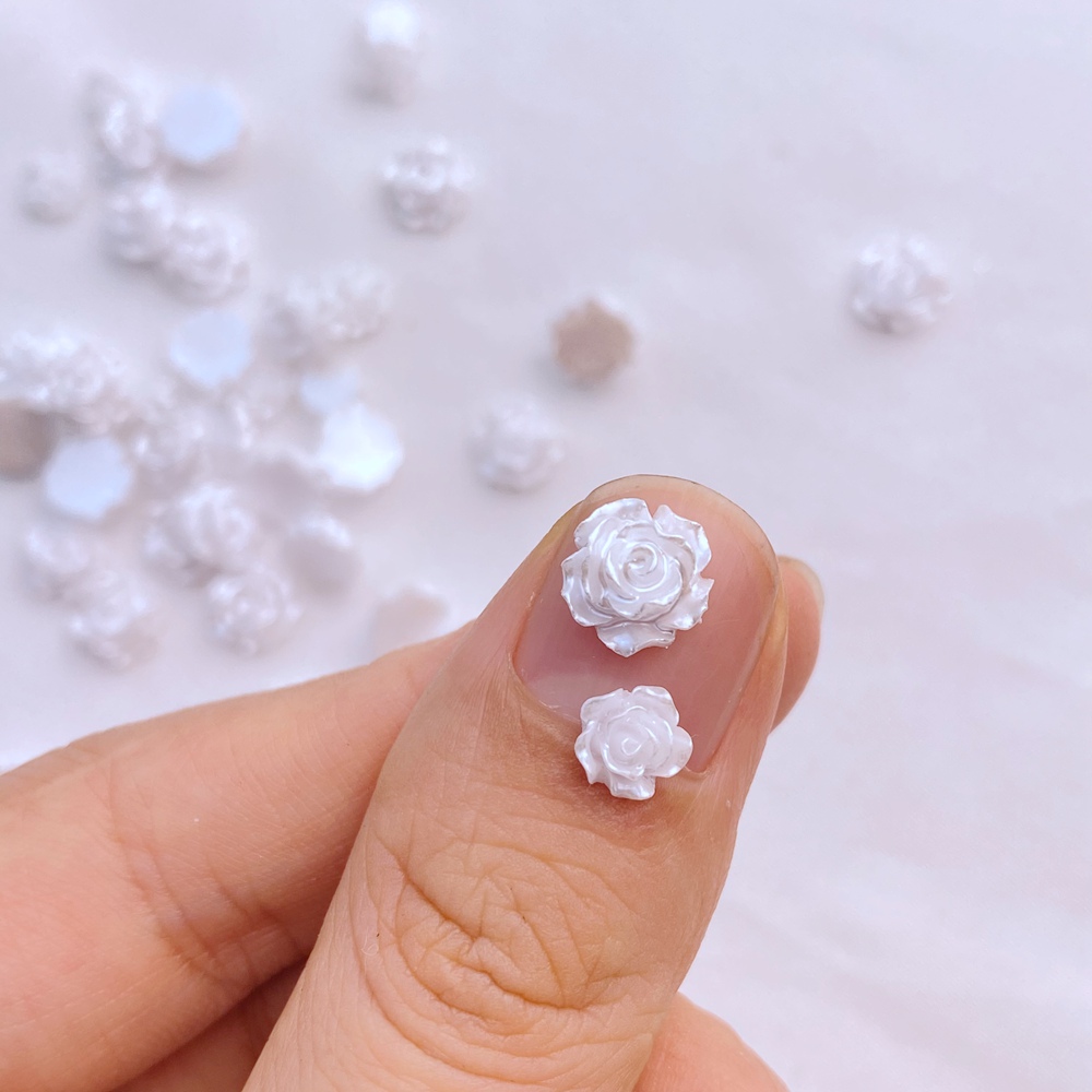 مجموعة زهور بيضاء من الراتنج ا - مراجعة Flower Preservation Resin وسعره
