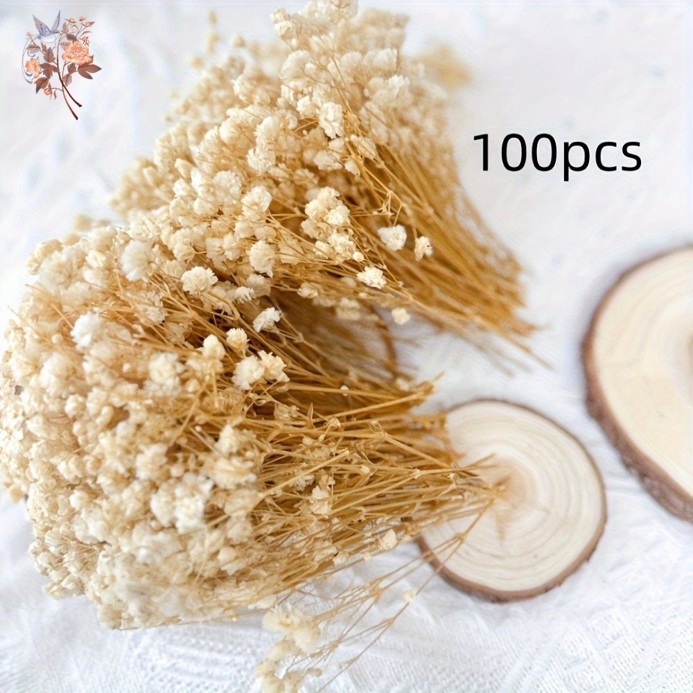 100 قطعة من زهور الجيبسوفيلا ا - مراجعة Resin Craft Ideas وسعره